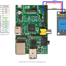 Step 5: Wire the Circuit to the Pi!